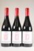 (3) 2010 Bodegas y Vinedos del Jalon Castillo de Maluenda 'Teorema' Garnacha Vinas Viejas, Calatayud