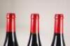 (3) 2010 Bodegas y Vinedos del Jalon Castillo de Maluenda 'Teorema' Garnacha Vinas Viejas, Calatayud - 5