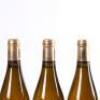(3) 2011 Yves Cuilleron Vertige Condrieu - 6