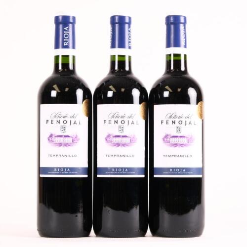 (3) 2011 Bodegas Isidro Milagro 'Senorio del Fenojal' Tempranillo, Rioja