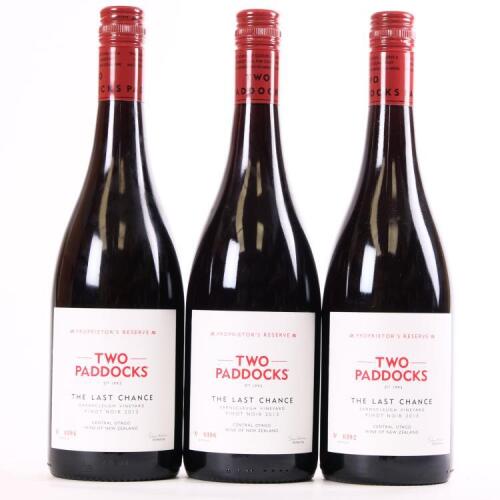 (3) 2013 Two Paddocks The Last Chance Pinot Noir, Earnscleugh