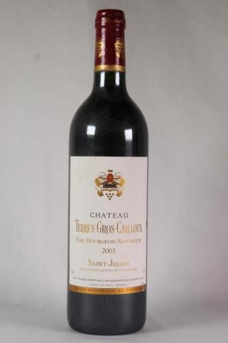 (1) 2003 Chateau Terrey Gros Cailloux, St Julien