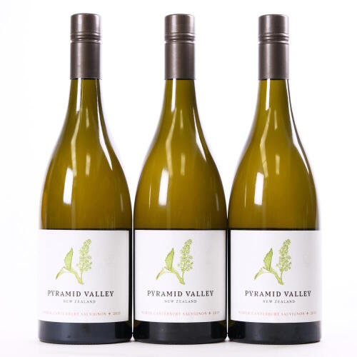 (3) 2019 Pyramid Valley Sauvignon +, North Canterbury