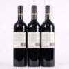 (3) 2013 Babich Patriarch, Gimblett Gravels - 3