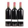 (3) 2006 Chateau Picque Caillou, Pessac-Leognan - 4