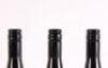 (3) 2013 Clevedon Hills Pinot Noir, Clevedon - 6