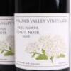(2) 2006 Pyramid Valley Vineyards Angel Flower Pinot Noir, Waikari - 2
