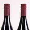 (2) 2006 Pyramid Valley Vineyards Angel Flower Pinot Noir, Waikari - 5