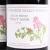 (2) 2010 Pyramid Valley Vineyards Earth Smoke Pinot Noir, Waikari - 2