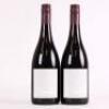 (2) 2010 Pyramid Valley Vineyards Earth Smoke Pinot Noir, Waikari - 3