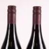 (2) 2010 Pyramid Valley Vineyards Earth Smoke Pinot Noir, Waikari - 5