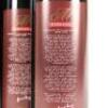 (4) 1999 Grant Burge Meshach Shiraz, Barossa SA - 4