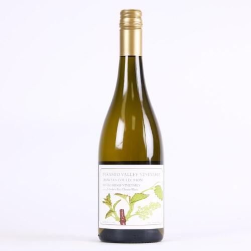 (1) 2013 Pyramid Valley Vineyards Moteo Ridge Vineyard Chenin Blanc, Hawkes Bay