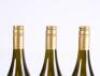 (3) 2008 Pyramid Valley Vineyards Lion's Tooth Chardonnay, Waikari - 5