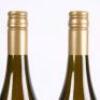 (2) 2013 Pyramid Valley Vineyards Lion's Tooth Chardonnay, Waikari - 5