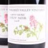 (2) 2008 Pyramid Valley Vineyards Earth Smoke Pinot Noir, Waikari - 2