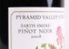 (2) 2008 Pyramid Valley Vineyards Earth Smoke Pinot Noir, Waikari - 3