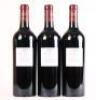 (3) 2010 Chateau Pontet-Canet 5eme Cru Classe, Pauillac - 4