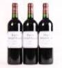 (3) 2009 Chateau Hauts de Pontet Canet, Pauillac