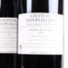 (6) 2010 Chateau Fenplegade, St Emilion - 4