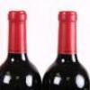 (6) 2010 Chateau Fenplegade, St Emilion - 6