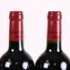 (6) 2010 Chateau Potensac, Medoc - 6