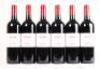 (6) 2010 Echo Lynch Bages, Pauillac - 2