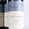 (6) 2009 Alluviale, Hawkes Bay - 2