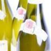 (3) 2014 Vincent Dauvissat Chablis - 3
