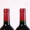 (6) 2010 Echo Lynch Bages, Pauillac - 6