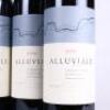 (6) 2009 Alluviale, Hawkes Bay - 2