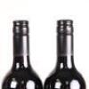 (6) 2009 Alluviale, Hawkes Bay - 6