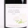 (1) 2010 Pyramid Valley Vineyards Angel Flower Pinot Noir, Waikari - 2