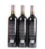 (3) 2005 The Islander Estate The Investigator Cabernet Franc, Kangaroo Island SA - 4