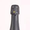 (1) 2008 Ployez-Jacquement Blanc de Blanc Extra Brut - 5