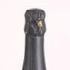(1) 2008 Ployez-Jacquement Blanc de Blanc Extra Brut - 6