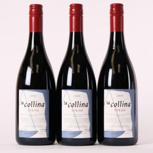 (3) 2009 Bilancia La Collina Syrah, Hawkes Bay
