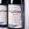 (3) 2009 Bilancia La Collina Syrah, Hawkes Bay - 2