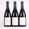 (3) 2008 Millton Clos de Ste Anne The Crucible Syrah, Gisborne - 3