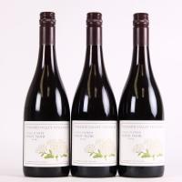 (3) 2014 Pyramid Valley Vineyards Angel Flower Pinot Noir, Waikari